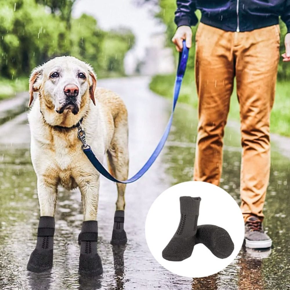 Pet Supplies Nz - 4 шт., товары для домашних животных,