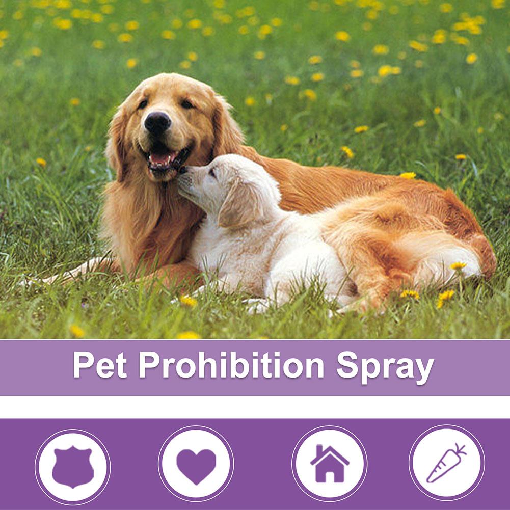 Спрей для успокоения домашних  – обзор и цена Pet Supplies Nz
