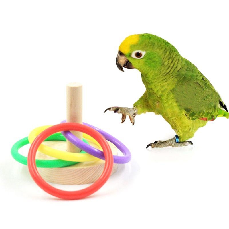 Птица Попугай Деревянная Платф – обзор и цена Pet Supplies Ringwood